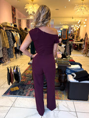 The Alessia - Plum Jumpsuit