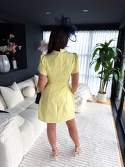 The Tulip - Lemon Tulip Sleeve Mini Dress