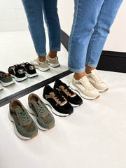 The Sammy- Gold Accent Trainer