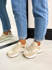 The Sammy- Gold Accent Trainer