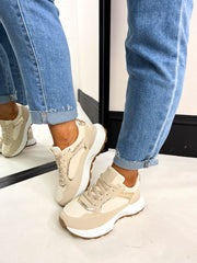 The Sammy- Gold Accent Trainer